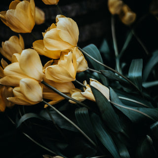 Pour dire « MERCI »