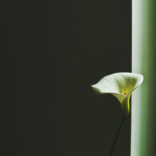 Pour dire « AUREVOIR »