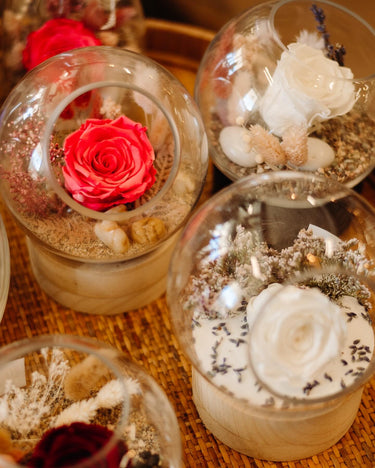 Atelier / Création de terrarium