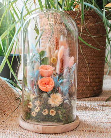 Cloche - Fleurs séchées