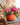 Atelier Citrouille Fleurie - Spécial Action de grâce - 9 octobre