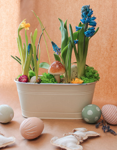 Jardinière avec bulbes