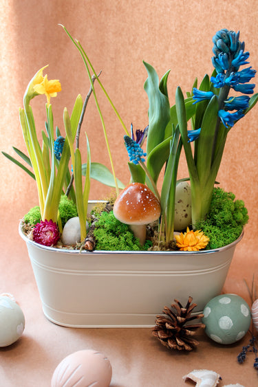 Jardinière avec bulbes
