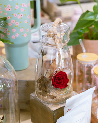 Rose éternelle / Saint-Valentin