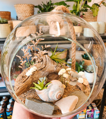 Terrarium